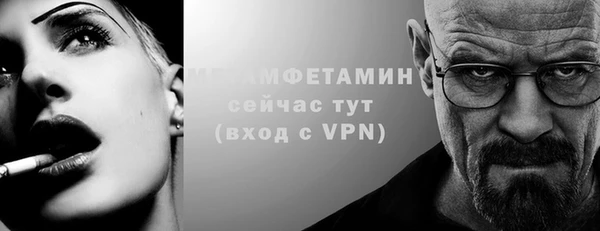 шишки Няндома