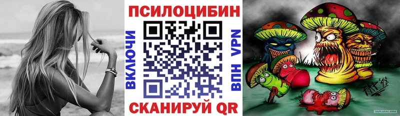 Псилоцибиновые грибы Psilocybe  что такое   Аша 